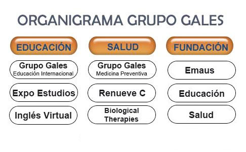 organigrama