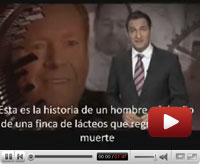 video 8